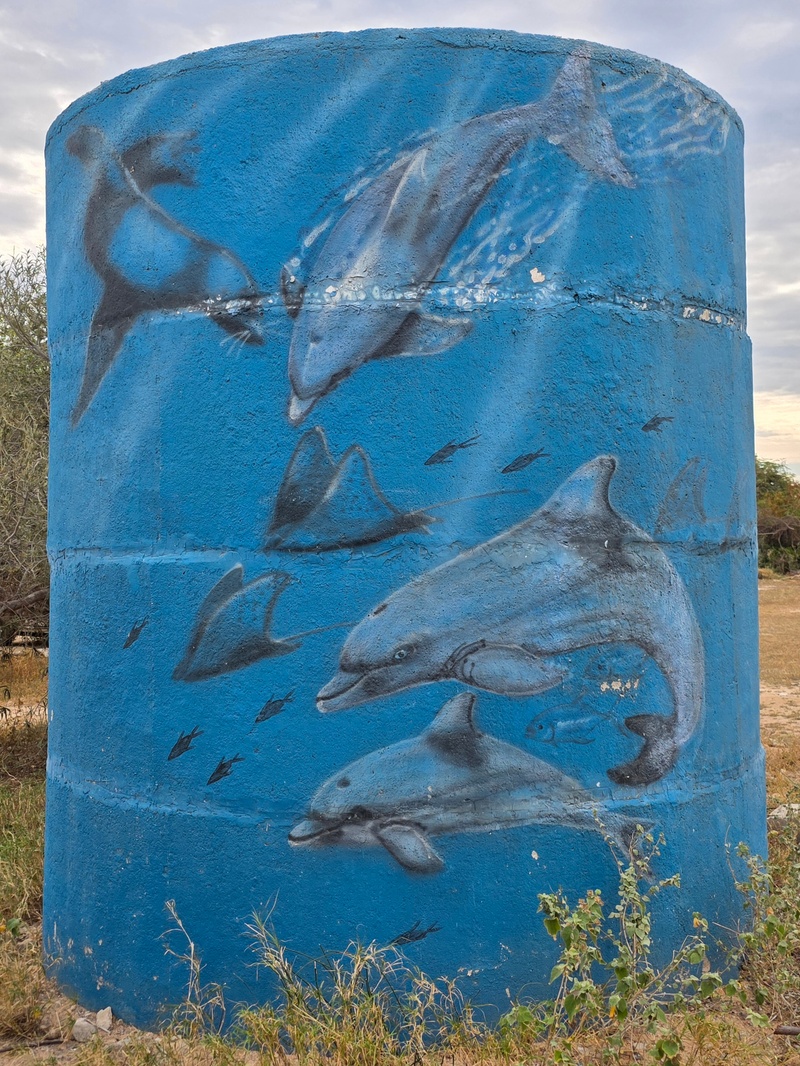 mural in Cabo Pulmo by artist unknown.