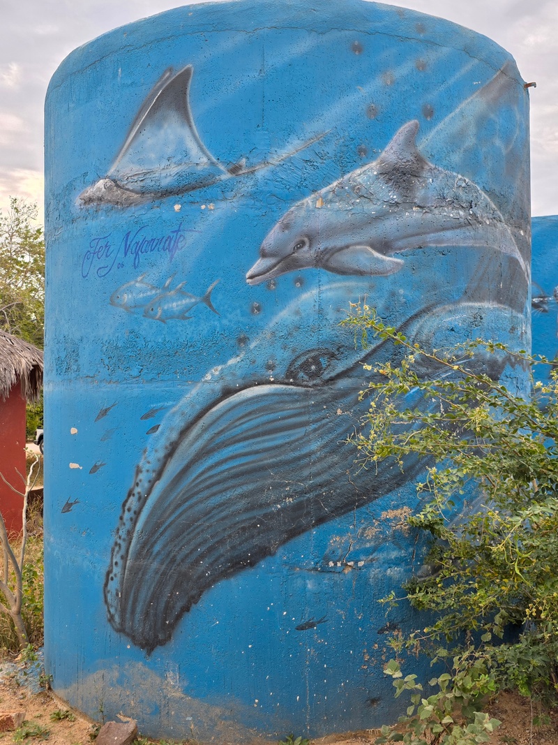 mural in Cabo Pulmo by artist unknown.