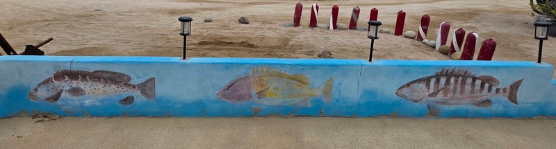 mural in Cabo Pulmo by artist unknown.