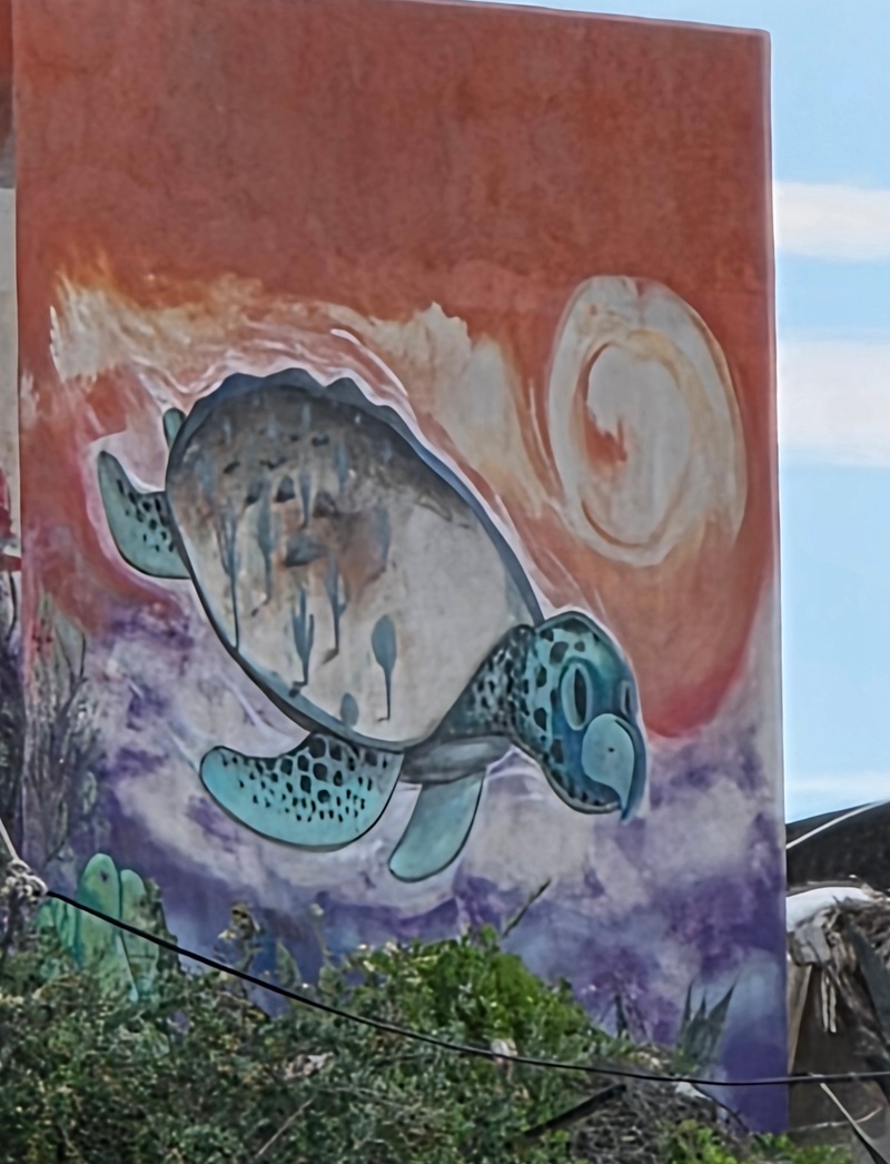 mural in La Palmilla by artist unknown.