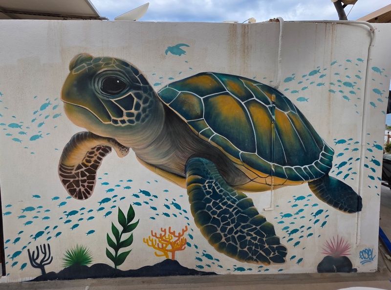 mural in La Fortuna by artist Erick Ecsel.