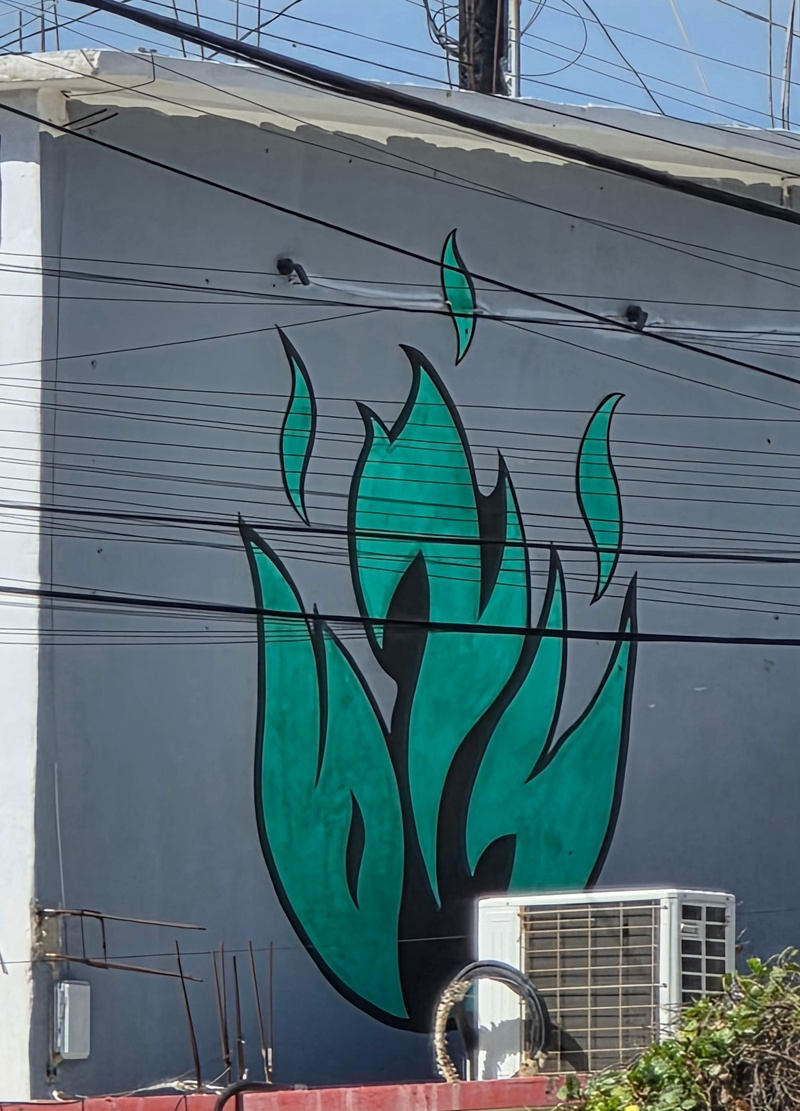 mural in San José del Cabo by artist unknown.