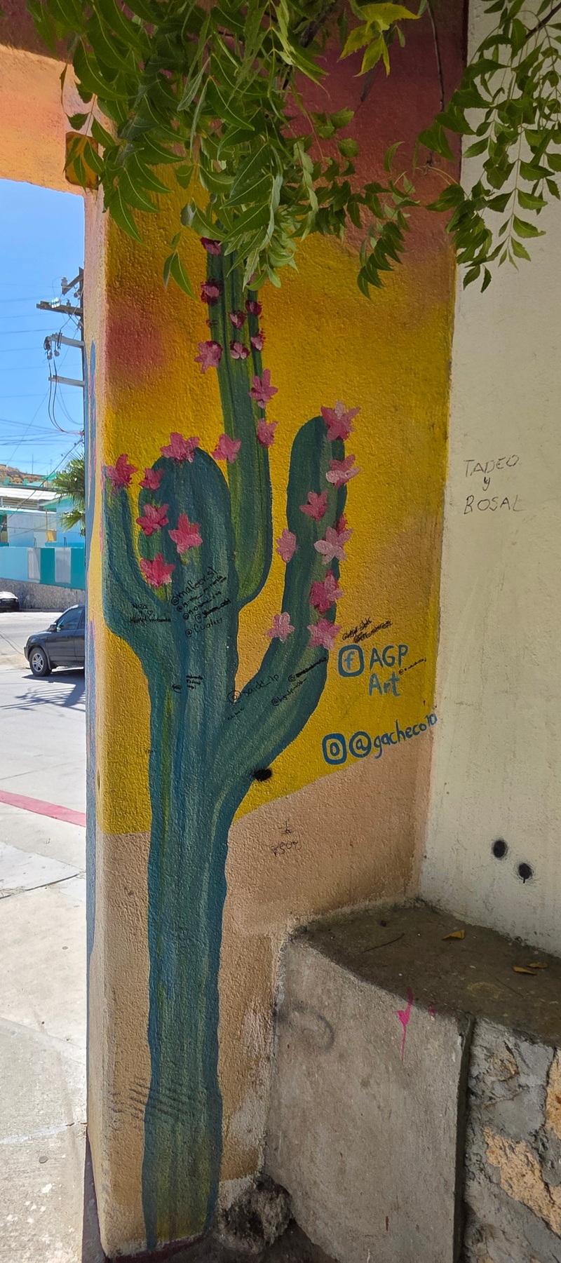 mural in San José del Cabo by artist unknown.
