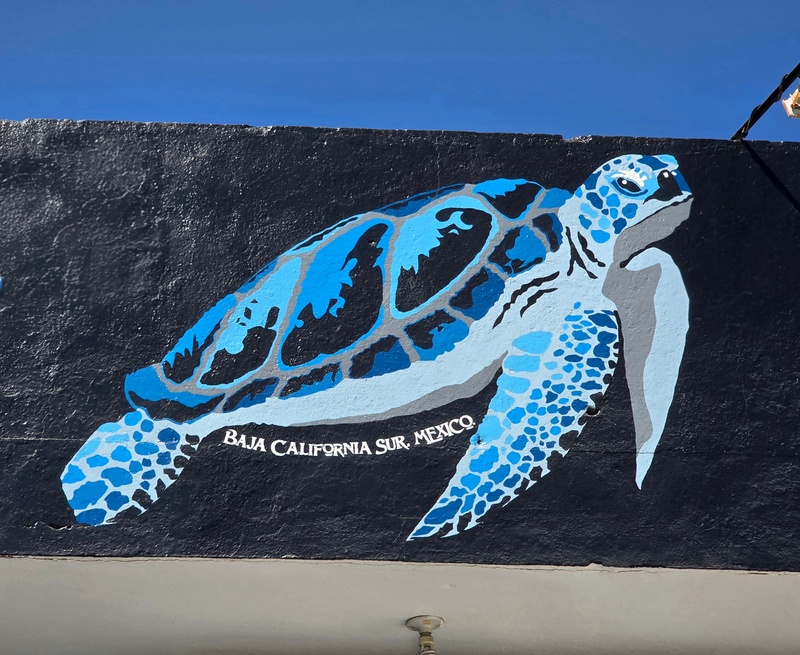 mural in San José del Cabo by artist unknown.