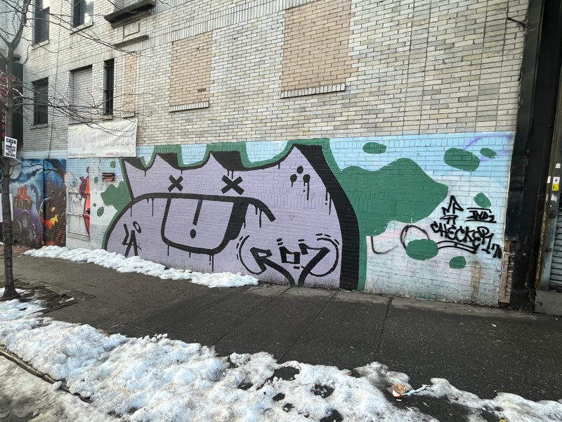 mural in The Bronx by artist unknown.