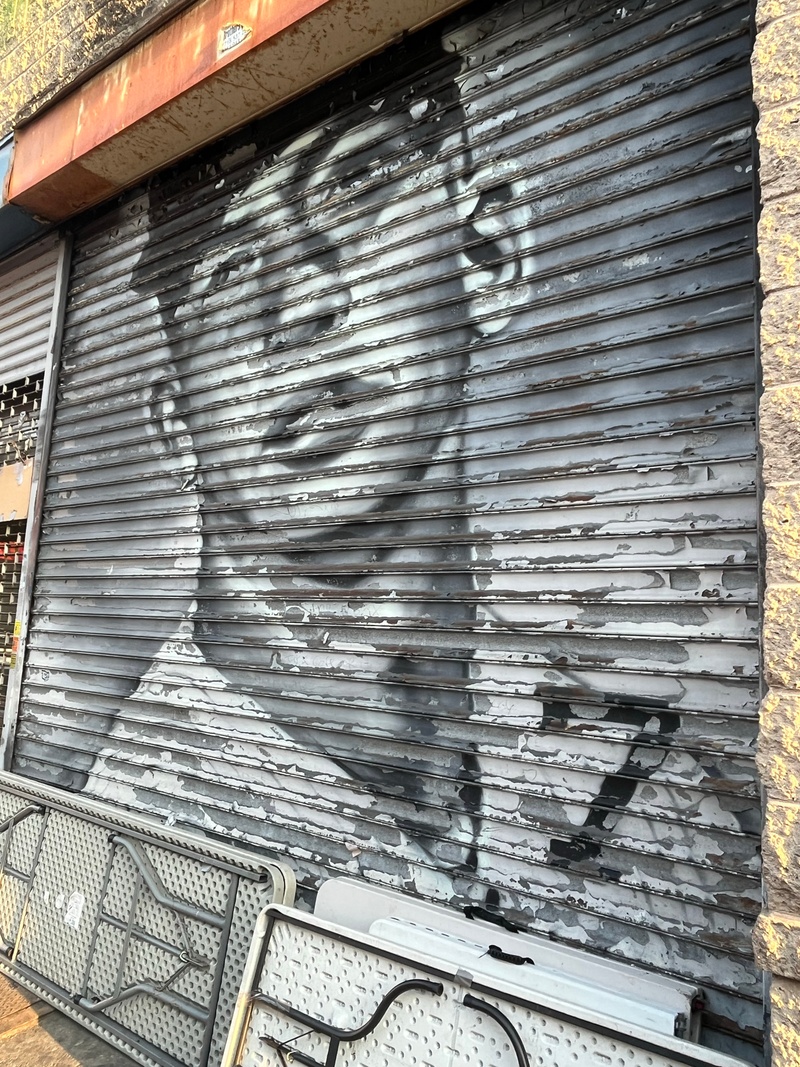 mural in The Bronx by artist unknown.