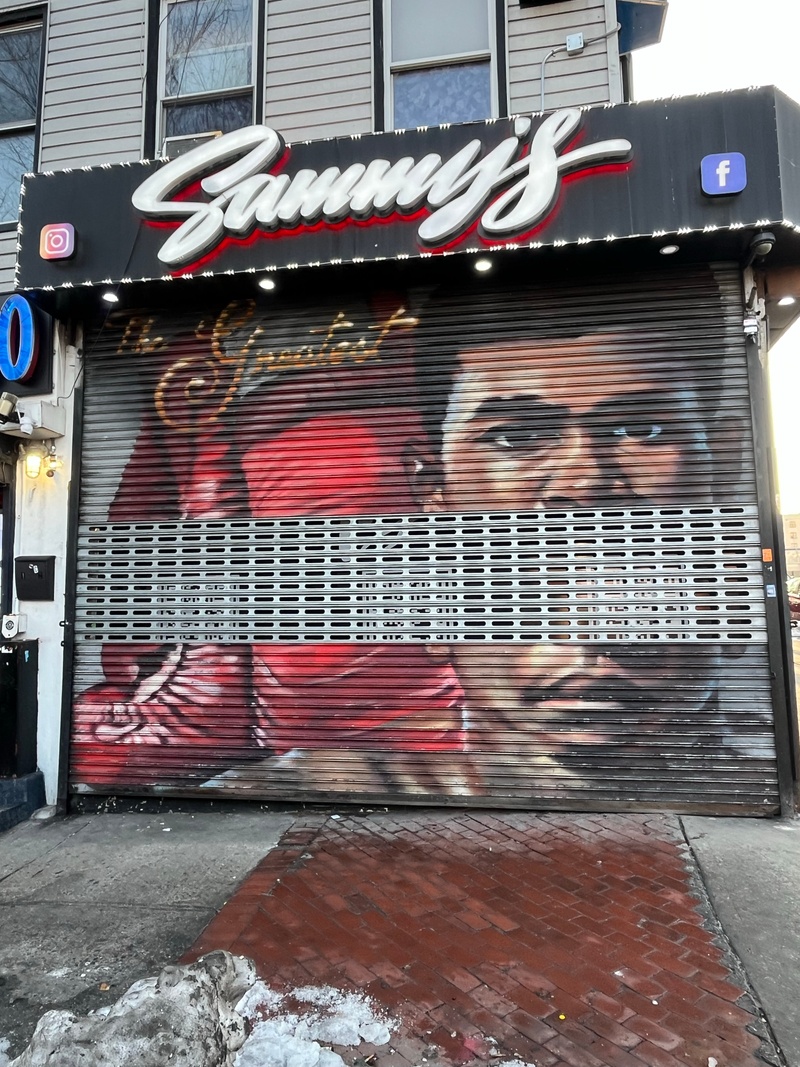 mural in The Bronx by artist unknown.