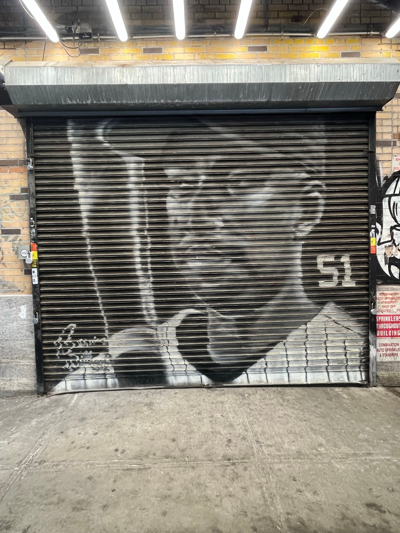 mural in The Bronx by artist unknown.