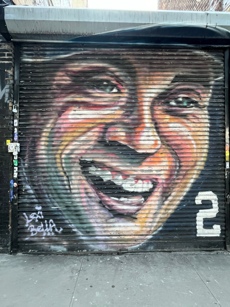 mural in The Bronx by artist Lexi Bella.