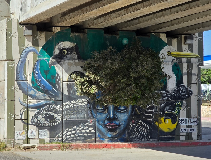mural in San José del Cabo by artist unknown.