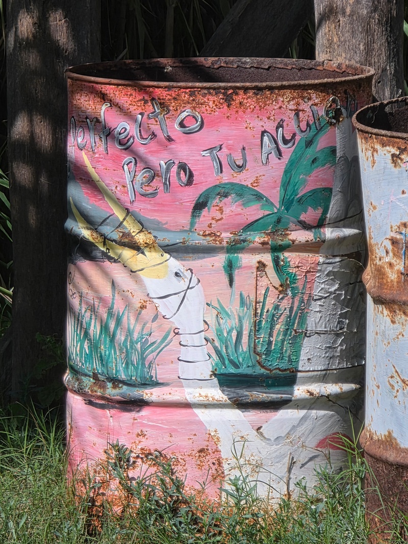 mural in San José del Cabo by artist unknown.