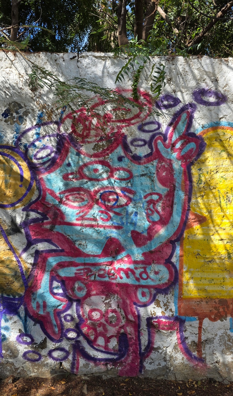 mural in San José del Cabo by artist unknown.