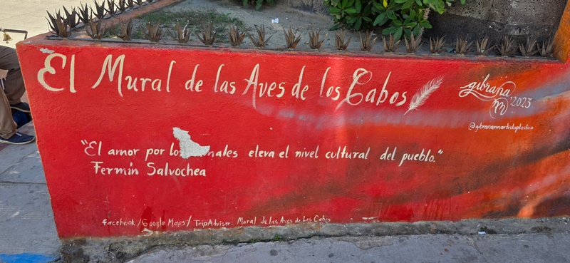 mural in San José del Cabo by artist unknown.