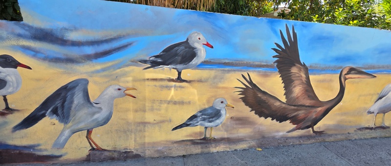 mural in San José del Cabo by artist unknown.