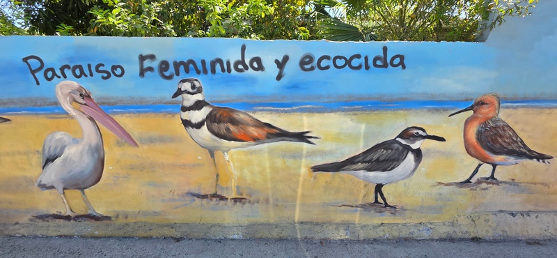 mural in San José del Cabo by artist unknown.