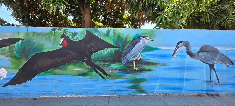 mural in San José del Cabo by artist unknown.
