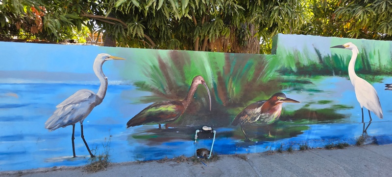 mural in San José del Cabo by artist unknown.