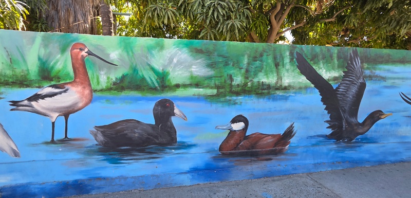mural in San José del Cabo by artist unknown.