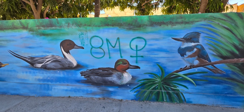 mural in San José del Cabo by artist unknown.