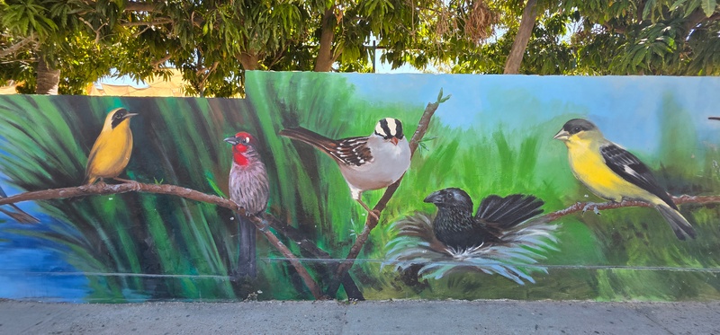 mural in San José del Cabo by artist unknown.