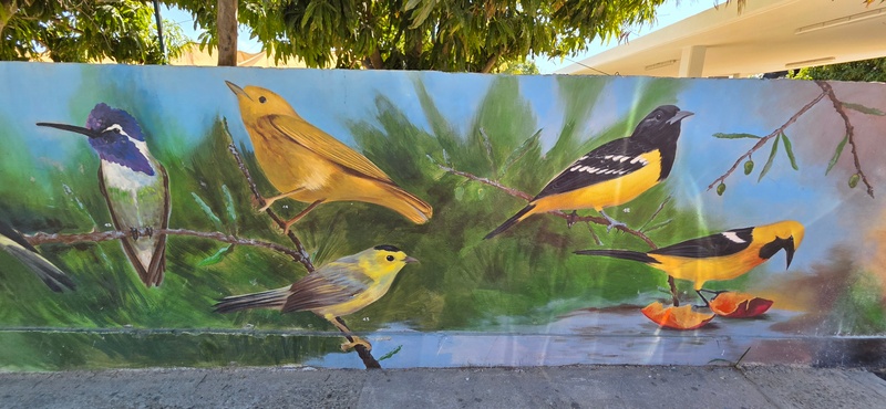 mural in San José del Cabo by artist unknown.