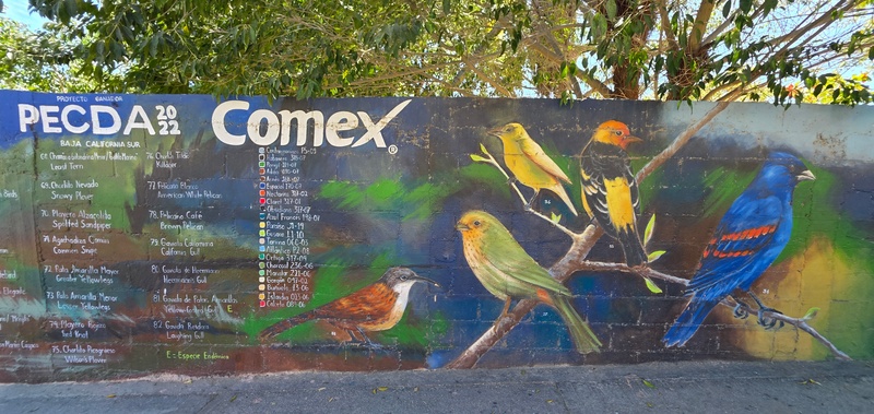 mural in San José del Cabo by artist unknown.