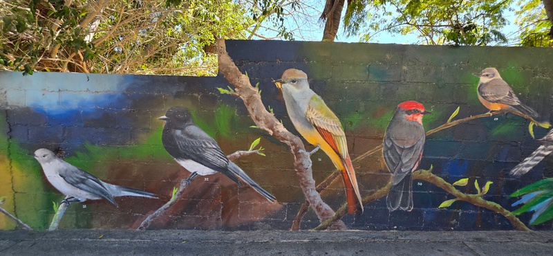 mural in San José del Cabo by artist unknown.