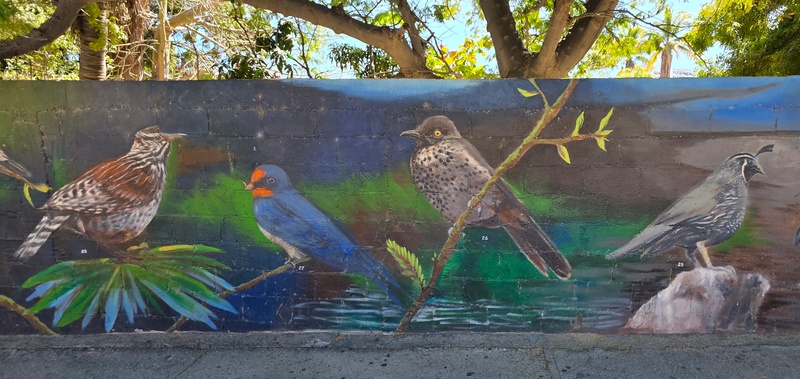 mural in San José del Cabo by artist unknown.
