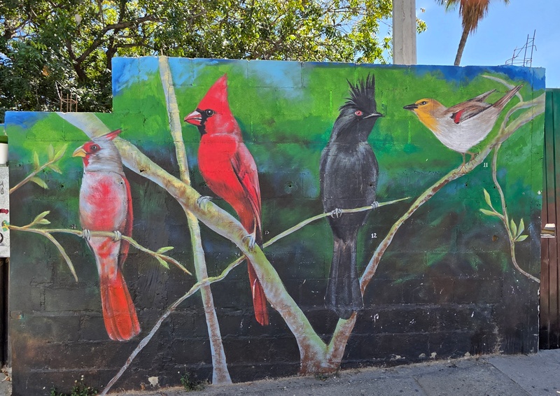 mural in San José del Cabo by artist unknown.