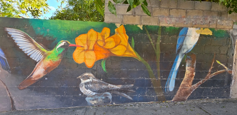 mural in San José del Cabo by artist unknown.