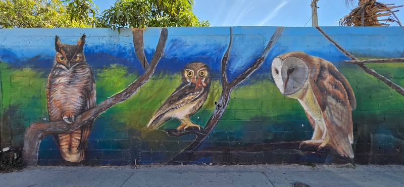 mural in San José del Cabo by artist unknown.