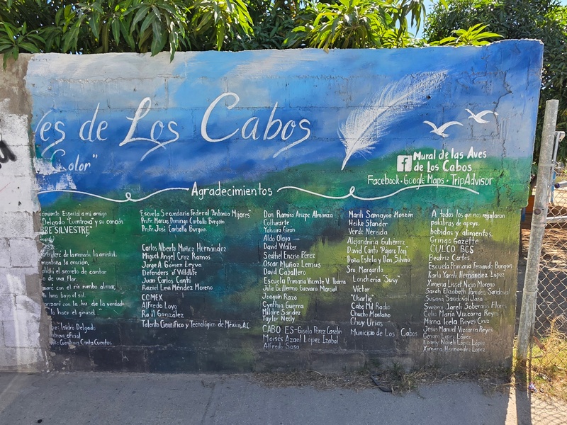 mural in San José del Cabo by artist unknown.