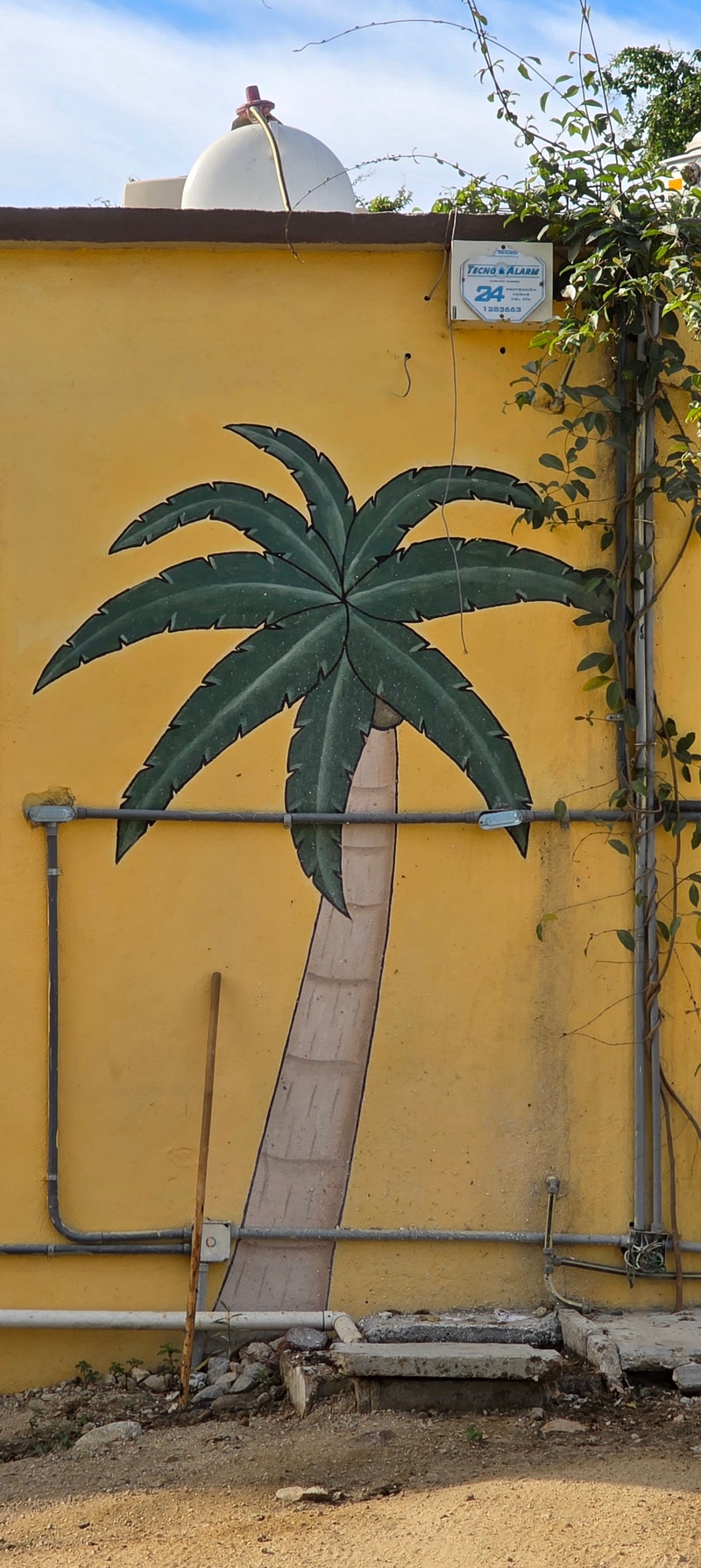 mural in San José del Cabo by artist unknown.