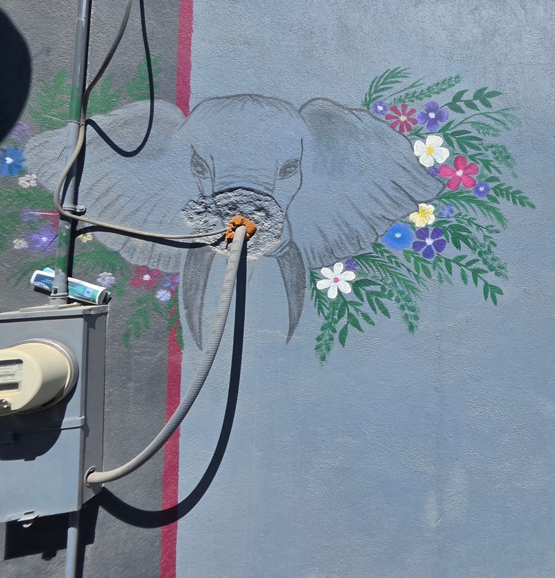 mural in El Pescadero by artist unknown.