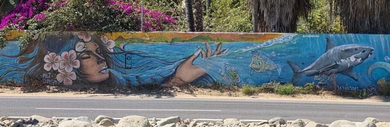 mural in El Pescadero by artist unknown.