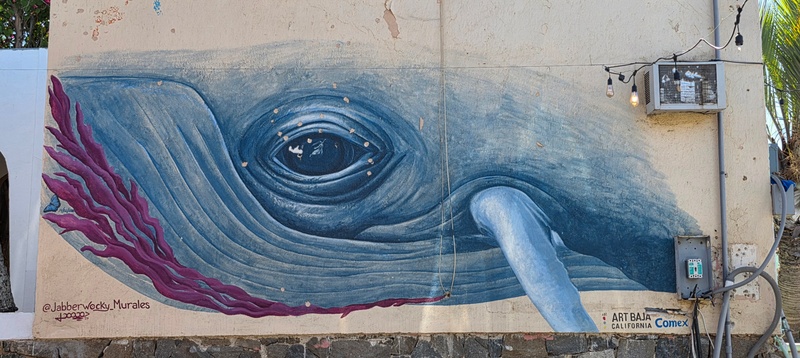 mural in Todos Santos by artist unknown.