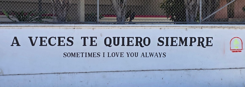 mural in Todos Santos by artist unknown.