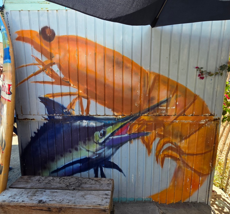 mural in Todos Santos by artist unknown.