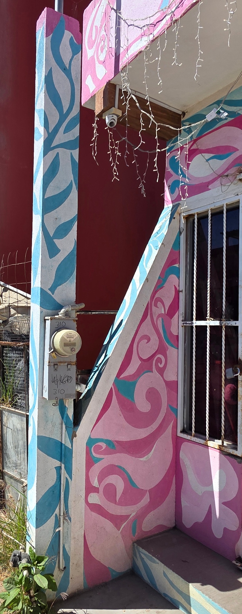 mural in Todos Santos by artist unknown.