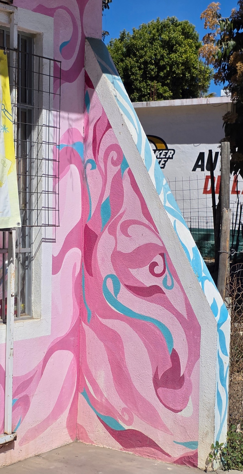 mural in Todos Santos by artist unknown.