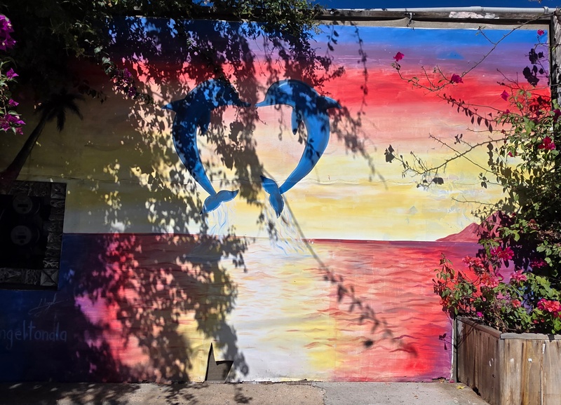 mural in Todos Santos by artist unknown.