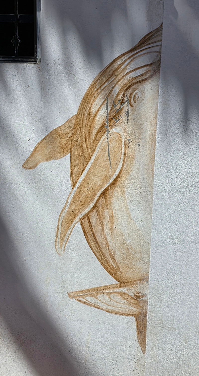 mural in Todos Santos by artist unknown.