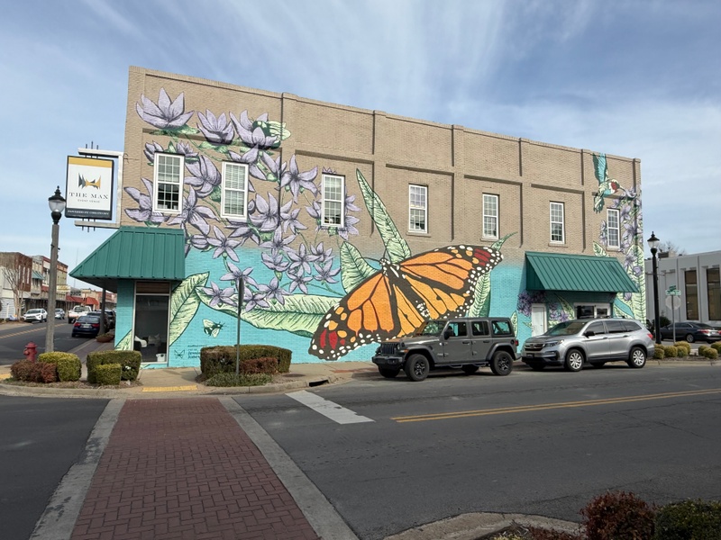 mural in Conway by artist unknown.