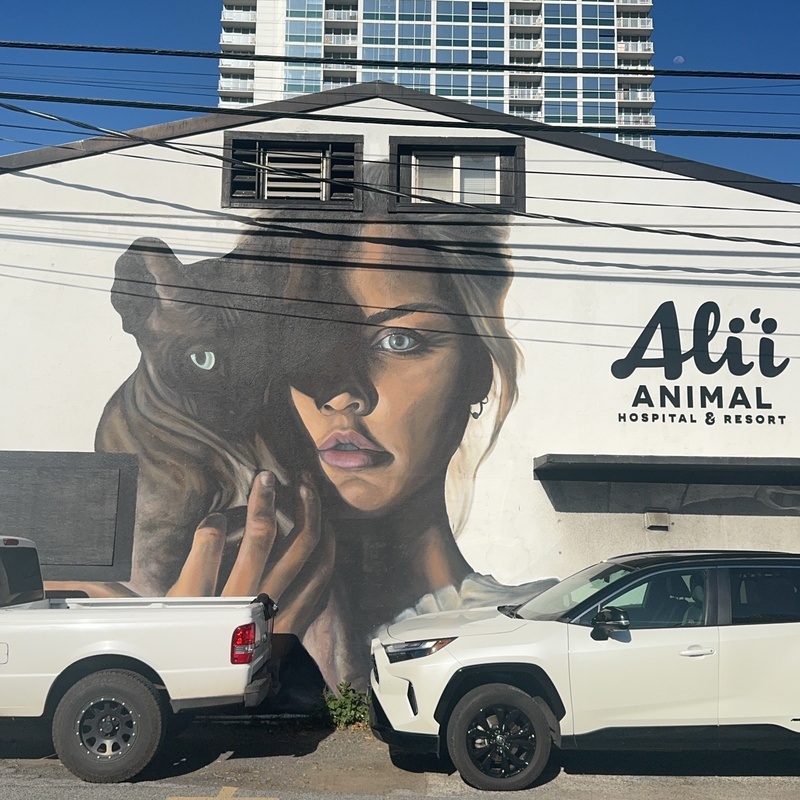 mural in Honolulu by artist unknown.