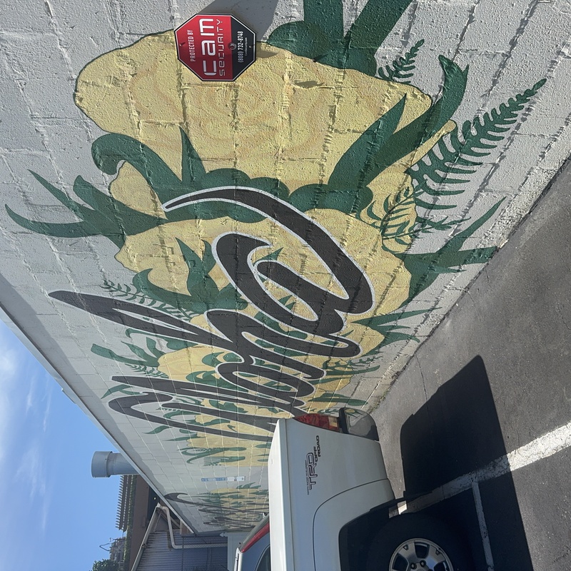 mural in Honolulu by artist unknown.