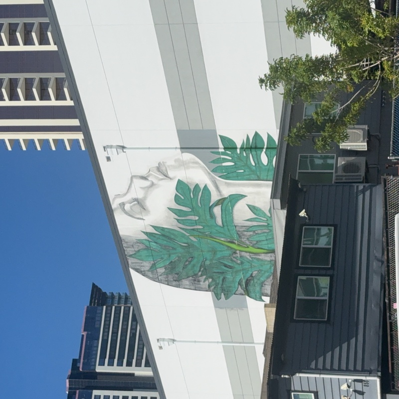 mural in Honolulu by artist unknown.