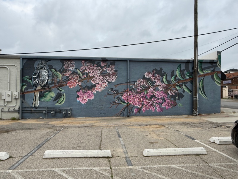 mural in Waxahachie by artist unknown.