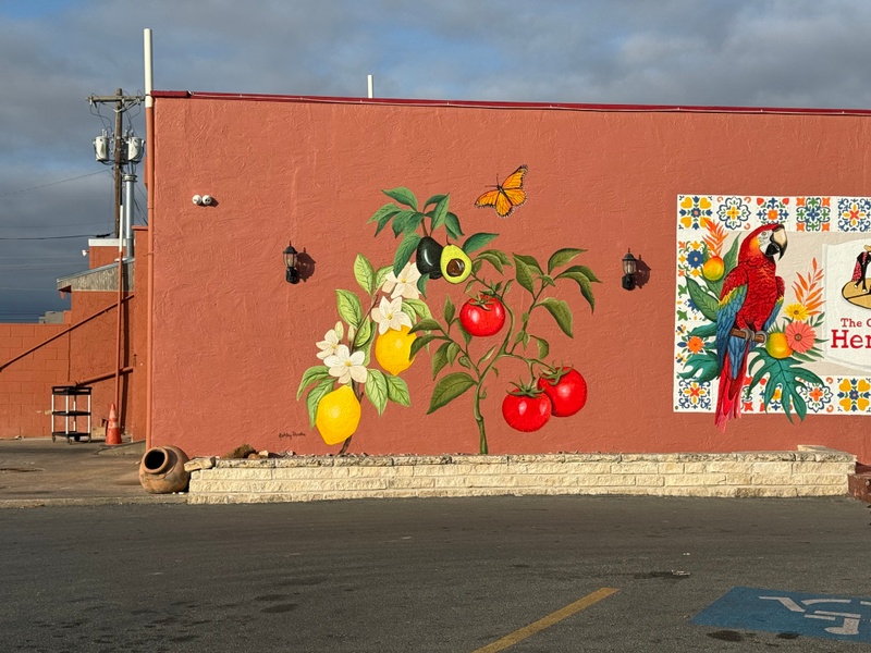 mural in San Angelo by artist unknown.