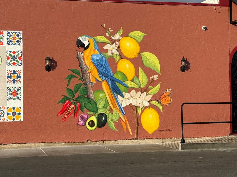 mural in San Angelo by artist unknown.
