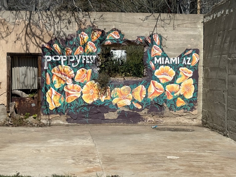 mural in Miami by artist unknown.